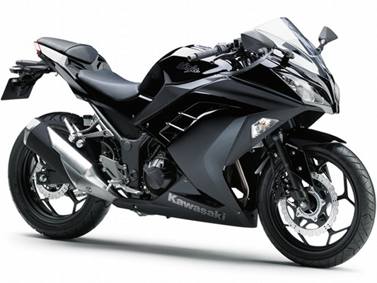 Фото мотоцикла Kawasaki Ninja 300 ABS